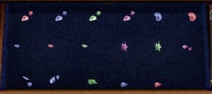shells