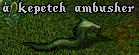 kepetch_ambusher